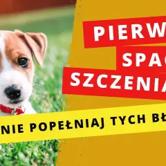 Pierwszy szczeniak? Skuteczny poradnik: wychowanie i opieka.