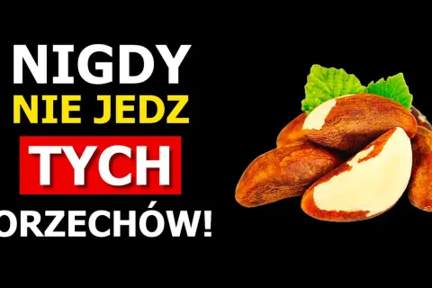 Czy koty mogą jeść nerkowce? Prawda o ryzyku i bezpiecznych przysmakach