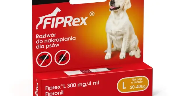 Tabletki na kleszcze dla psa: Ranking, skutki uboczne i wybór