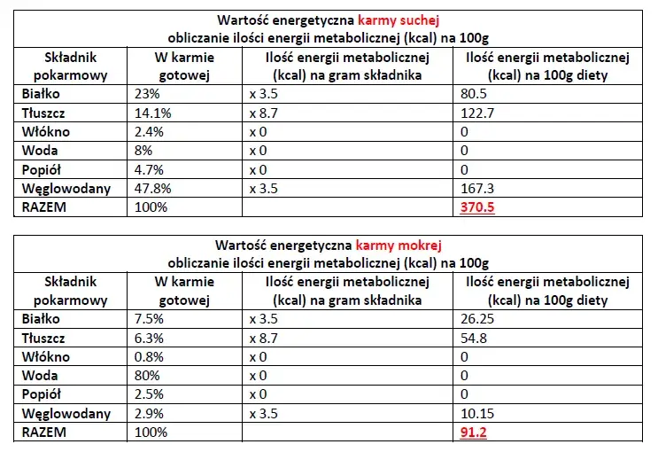 Ile karmy dla szczeniaka? Dawkowanie krok po kroku (sucha i mokra)