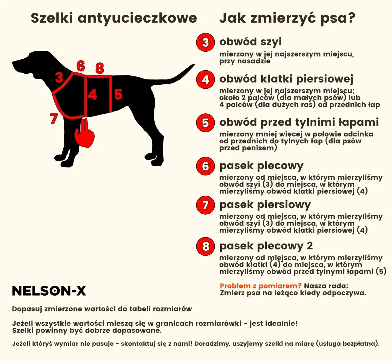 punkty pomiaru psa do szelek