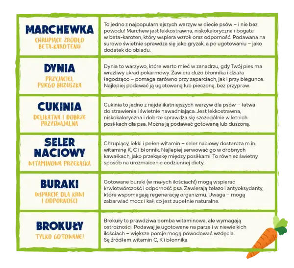 Bezpieczne warzywa dla psa: Lista, zasady, unikaj tych błędów!
