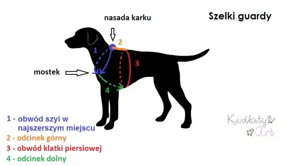 Jak zmierzyć szelki dla psa? Poradnik idealnego dopasowania